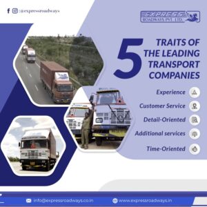 traits of transport companies